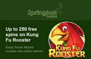 get-up-to-r15000-and-250-spins-on-kung-fu-rooster-at-springbok