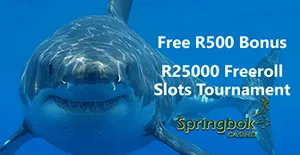 May is Shark Month at Springbok Casino