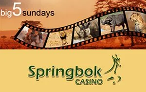Five Big Sundays at Springbok Casino