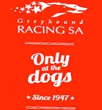 greyhound-racing