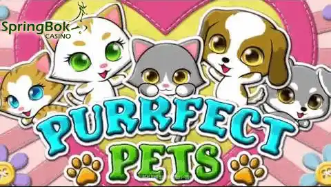 purrfect-pets-slot-to-go-live-at-springbok-casino