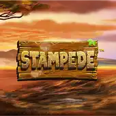 Stampede