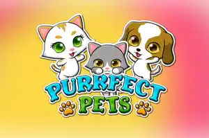 Purrfect Pets