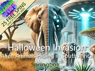 Springbok Casino Halloween