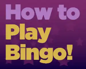 ONLINE BINGO BEGINNERS