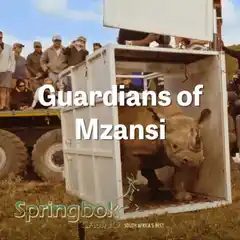 Springbok Casino Celebrates Nature & Heritage With 'Guardians of Mzansi'