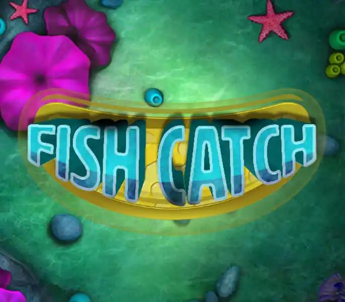 Fish Catch Review