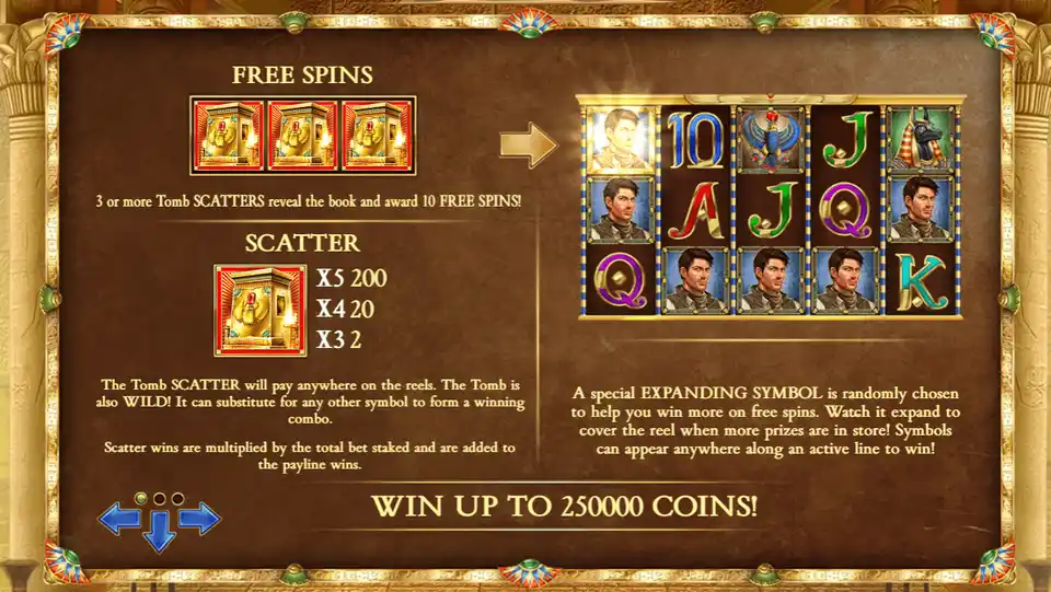 Book of Dead free spins