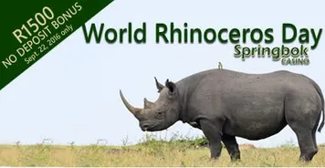 springbok-rhinoday-425a.jpg