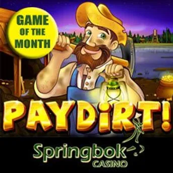 springbok-game-of-the-month-paydirt.jpg