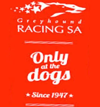 greyhound-racing.png