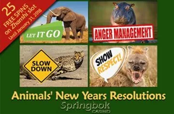 Start New Year with 25 Free Spins on Zhanshi at Springbok Casino