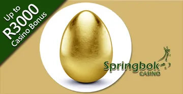 Golden Egg About to Hatch at Springbok Casino