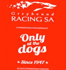 South Africa mulls Re-Introduction Of Greyhound Racing